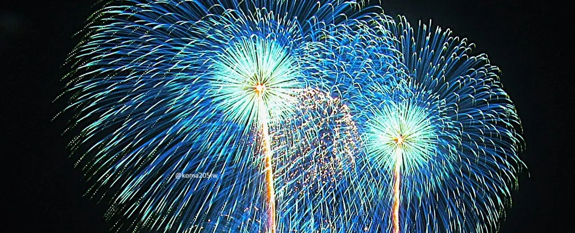 野村花火工業の花火の様子